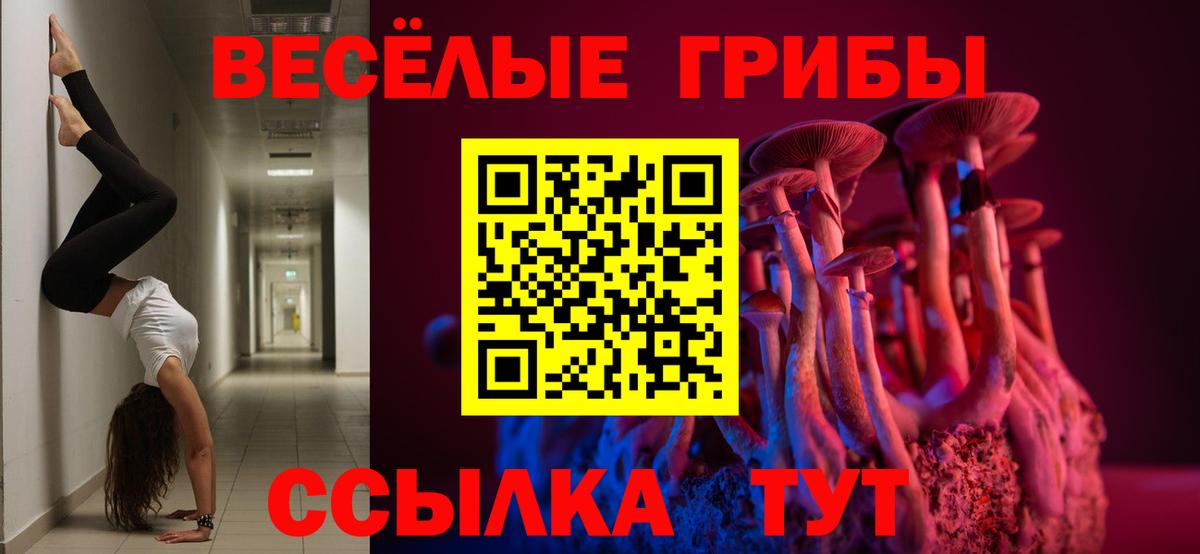 Галлюциногенные грибы Psilocybe Рузаевка